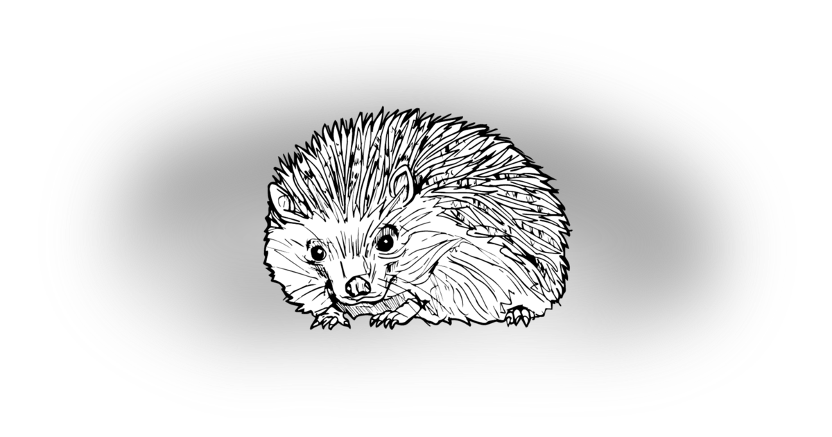 Seasonal Message from The Hedgehog Seasonal Message from The Hedgehog