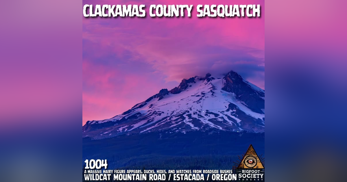 Driver Encounters Hairy Figure on Wildcat Mountain Road in Estacada, Oregon and Freezes | Archives Driver Encounters Hairy Figure on Wildcat Mountain Road in Estacada, Oregon and Freezes | Archives