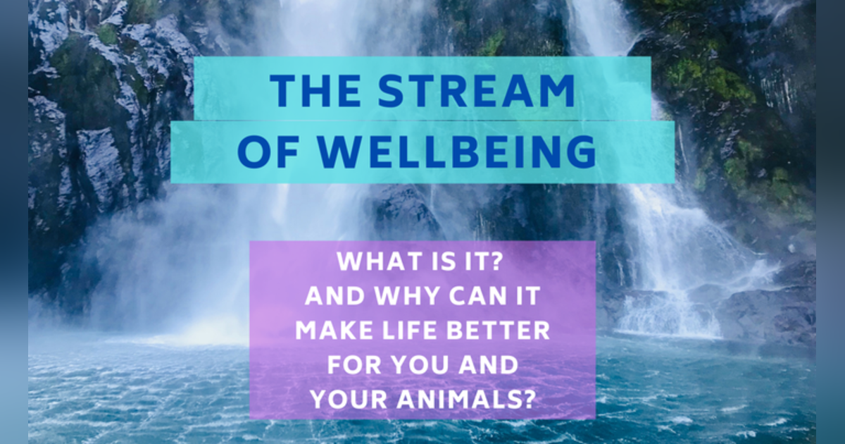 Conversations with Coryelle- The Stream of wellbeing Conversations with Coryelle- The Stream of wellbeing