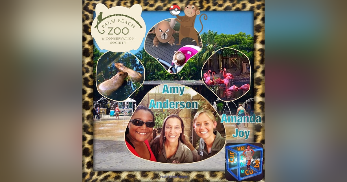 #88 – NON-PROFIT – Palm Beach Zoo – 2016-07-30 #88 – NON-PROFIT – Palm Beach Zoo – 2016-07-30