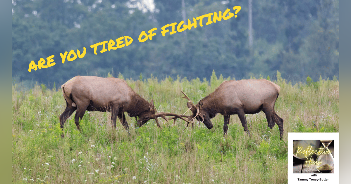 Are you tired of fighting? Are you tired of fighting?