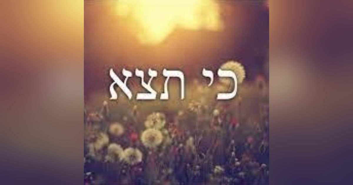 Parasha Ki Teitzei: Deut 21:10-25:19 Parasha Ki Teitzei: Deut 21:10-25:19