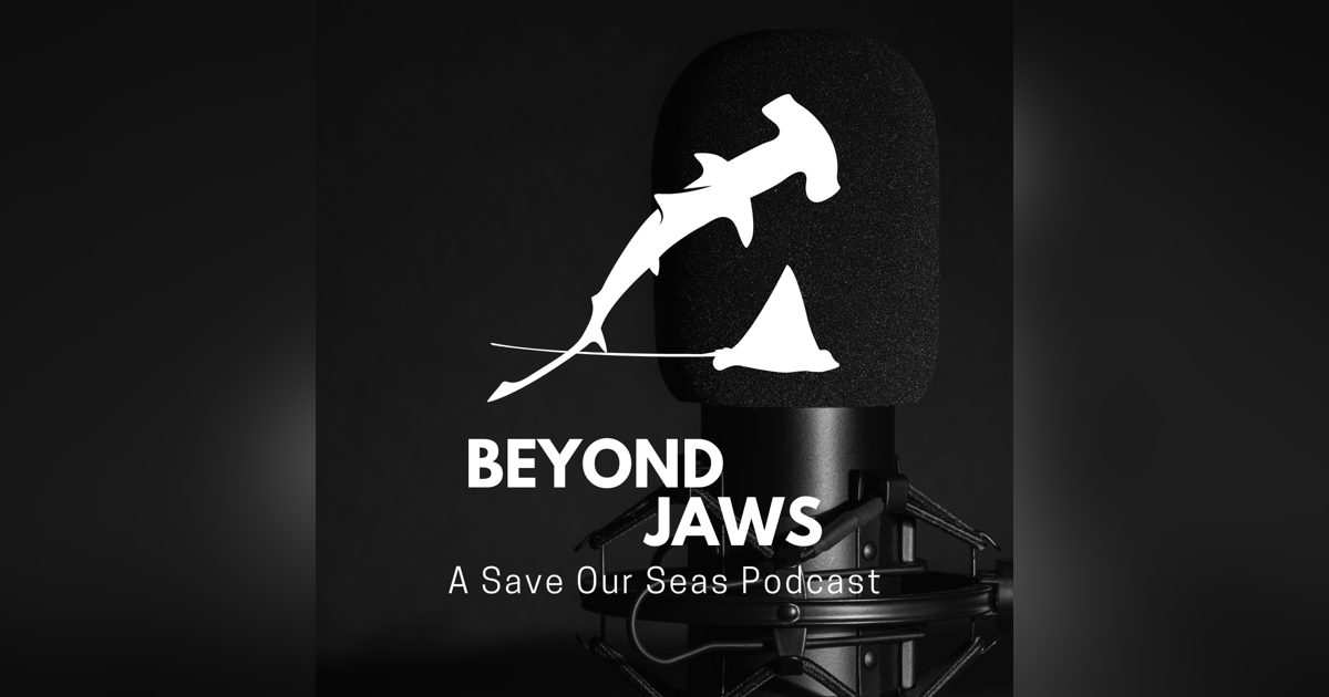21: Pursuing a sensory ecology of elasmobranch career with Dr. Christine Bedore 21: Pursuing a sensory ecology of elasmobranch career with Dr. Christine Bedore