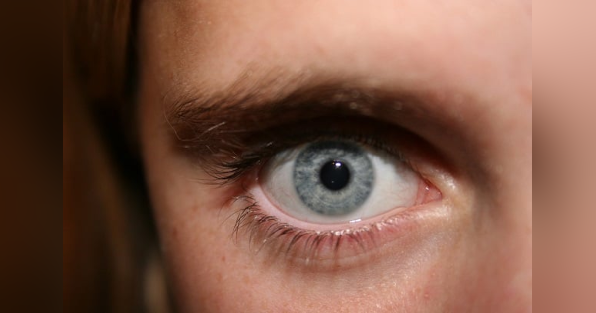 The Bible Tells us to Look to Jesus - HOW Can We Actually See Him? #78 Reading Hebrews 12 + What Was the Folly of Esau? The Bible Tells us to Look to Jesus - HOW Can We Actually See Him? #78 Reading Hebrews 12 + What Was the Folly of Esau?