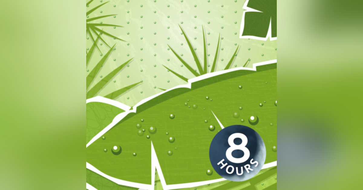 Rain Sleep Sounds 8 Hours | White Noise for Relaxation, Studying or Soothing a Baby Rain Sleep Sounds 8 Hours | White Noise for Relaxation, Studying or Soothing a Baby