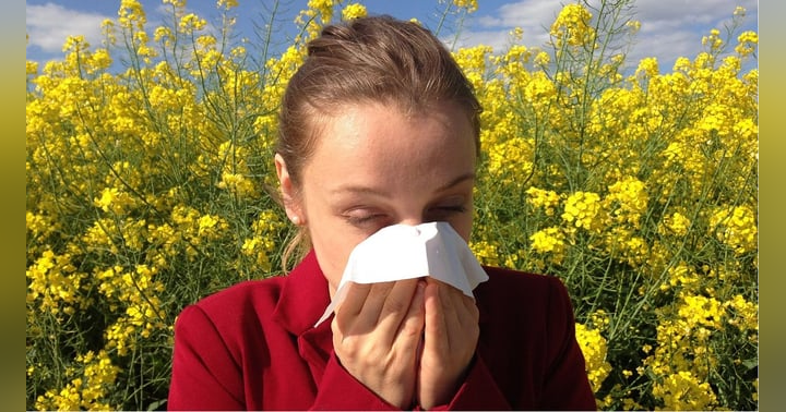 image for Decongestants