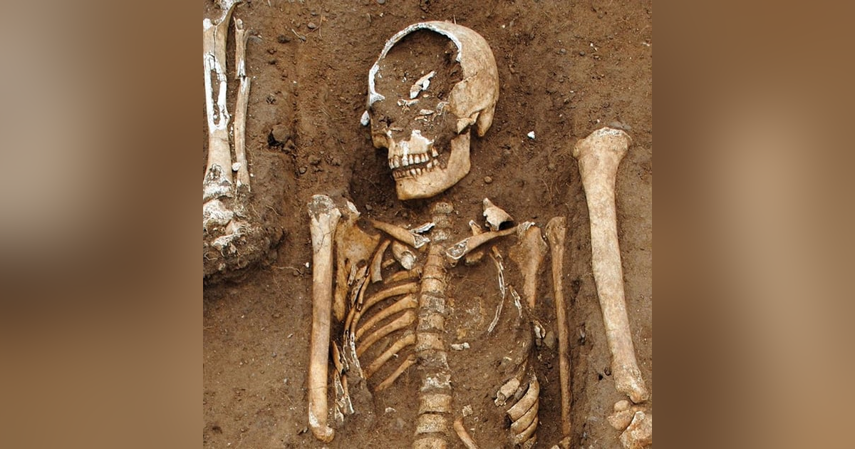 #130 La Peste Negra | Revelando los oscuros secretos de la peor pandemia de la historia #130 La Peste Negra | Revelando los oscuros secretos de la peor pandemia de la historia