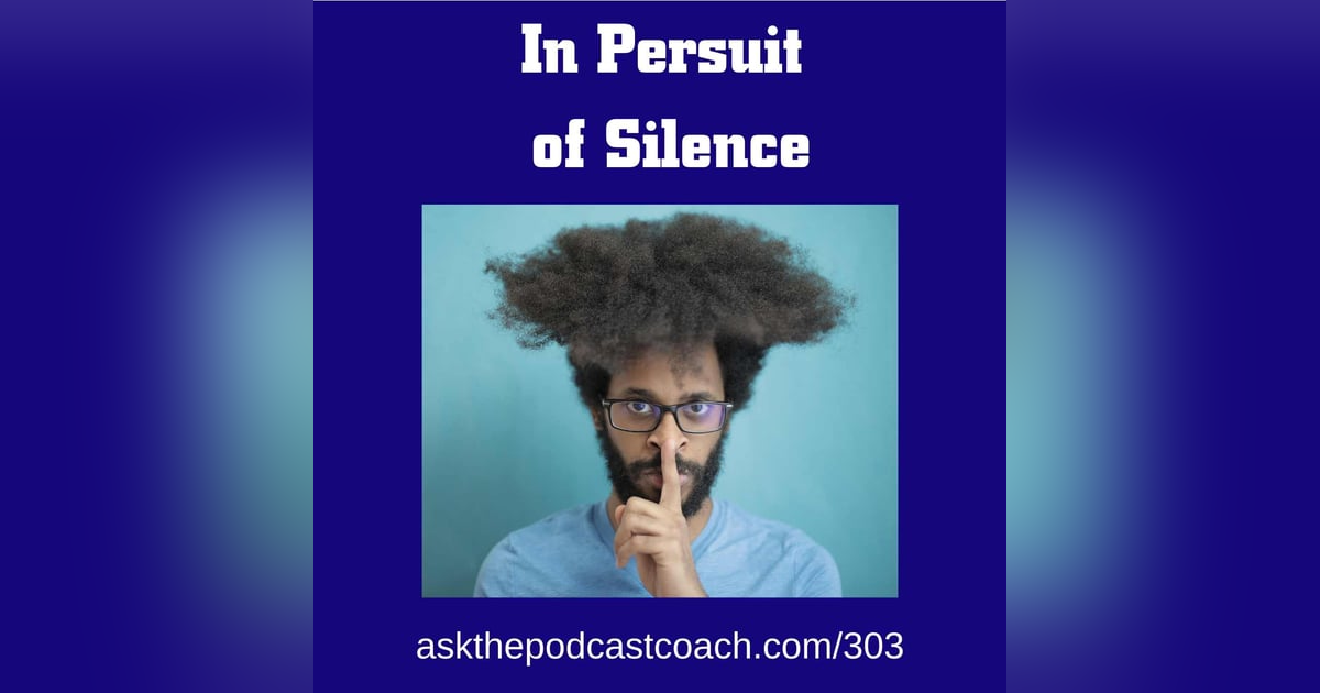In Pursuit of Silence In Pursuit of Silence