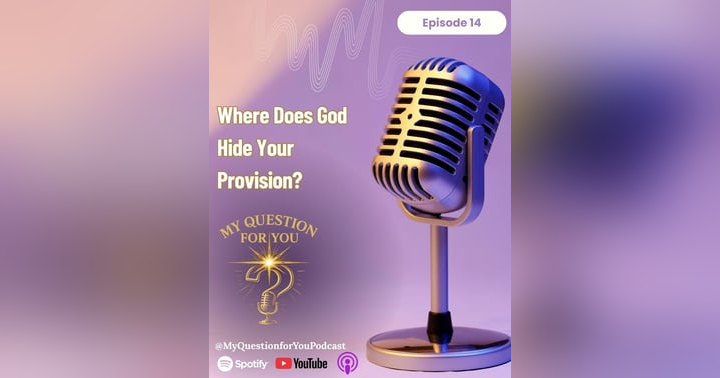 image for Where Does God Hide Your Provision? | Christmas Faith Reflection