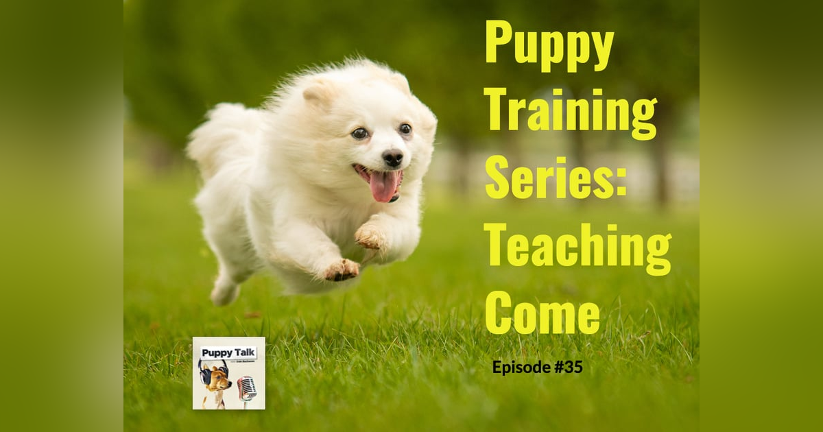 Puppy Training Series: Teaching Come Puppy Training Series: Teaching Come
