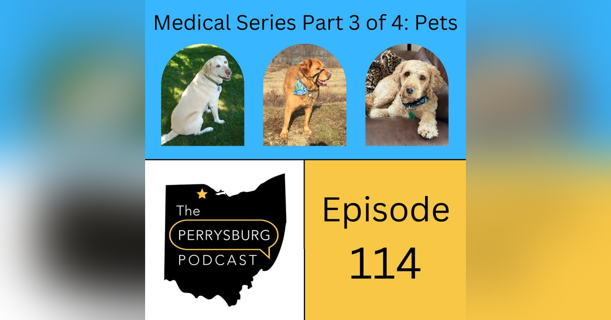 How to be a pet owner in Perrysburg (Medical Series Part 3 of 4) How to be a pet owner in Perrysburg (Medical Series Part 3 of 4)