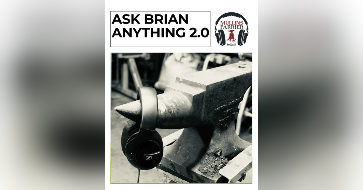 Ask Brian Anything 2.0 hosted by Lee Olsen CJF Ask Brian Anything 2.0 hosted by Lee Olsen CJF