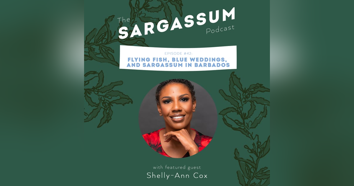 Ep. 42: Flying Fish, Blue Weddings, and Sargassum in Barbados with Dr Shelly-Ann Cox Ep. 42: Flying Fish, Blue Weddings, and Sargassum in Barbados with Dr Shelly-Ann Cox