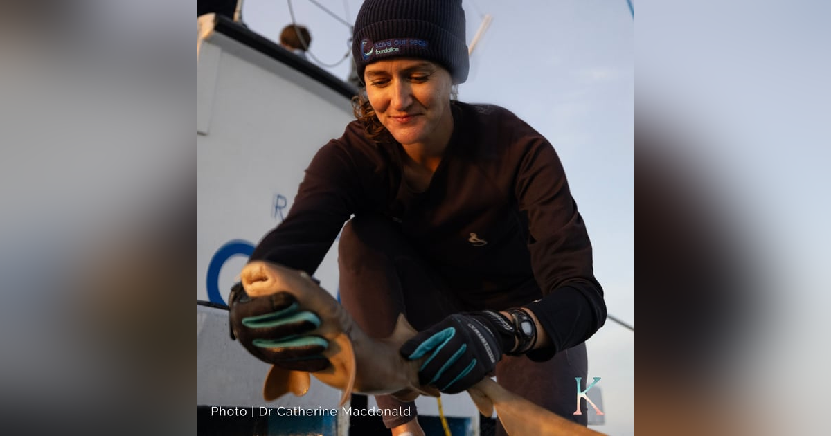 The Shark | With Dr. Catherine Macdonald, Marine Conservation Biologist The Shark | With Dr. Catherine Macdonald, Marine Conservation Biologist