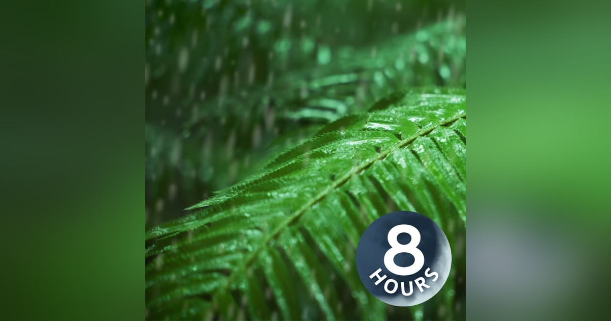 Relax, Sleep or Focus with Rain Noise 8 Hours Relax, Sleep or Focus with Rain Noise 8 Hours