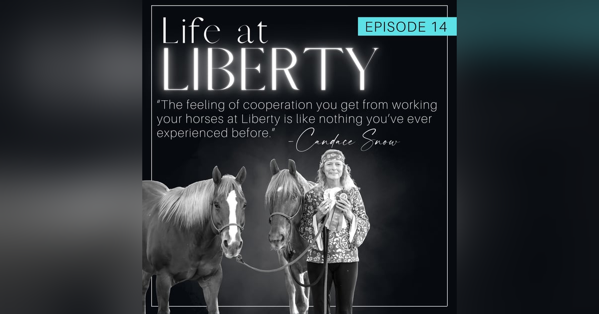 Road to the Liberty Festival: Candace Snow’s Inspiring Return from 40‑Year Hiatus to Champion Freestyler Road to the Liberty Festival: Candace Snow’s Inspiring Return from 40‑Year Hiatus to Champion Freestyler