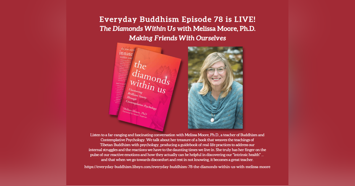 Everyday Buddhism 78 - The Diamonds Within Us With Melissa Moore Everyday Buddhism 78 - The Diamonds Within Us With Melissa Moore
