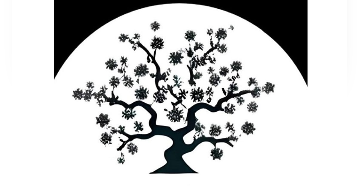 S3-E35 - Bits and Pieces (of Stinky Tofu 臭豆腐) and a Pre-Announcement Announcement S3-E35 - Bits and Pieces (of Stinky Tofu 臭豆腐) and a Pre-Announcement Announcement