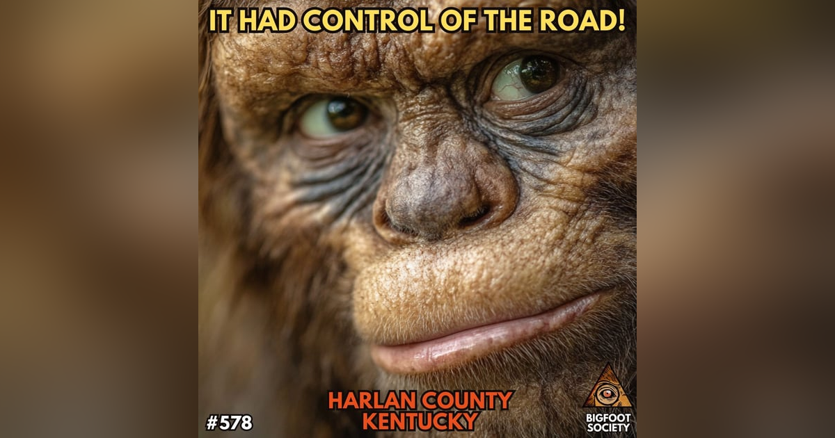 Face to Face as it Crossed the Road! | Harlan County, Kentucky Face to Face as it Crossed the Road! | Harlan County, Kentucky