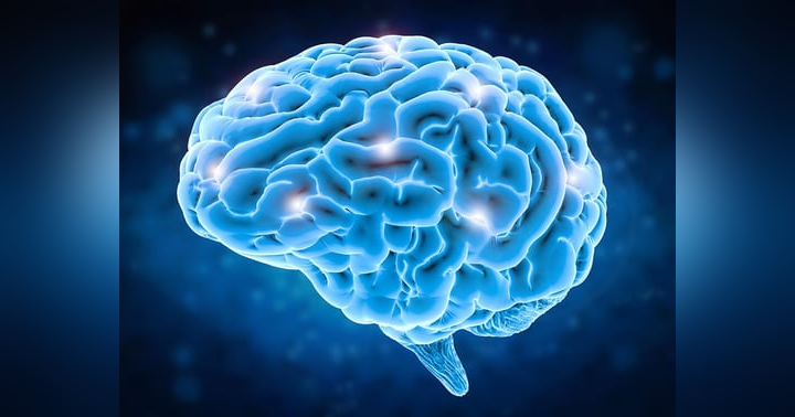 image for Can the human mind survive immortality?