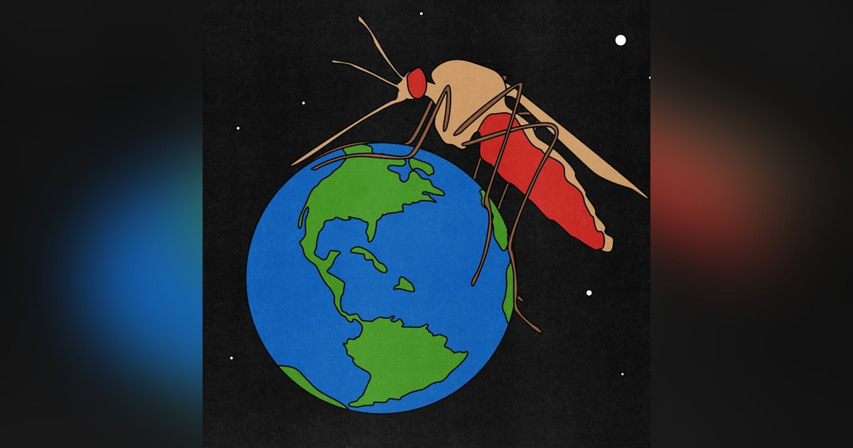 Mosquitoes are deadly. Should we kill them all? Mosquitoes are deadly. Should we kill them all?