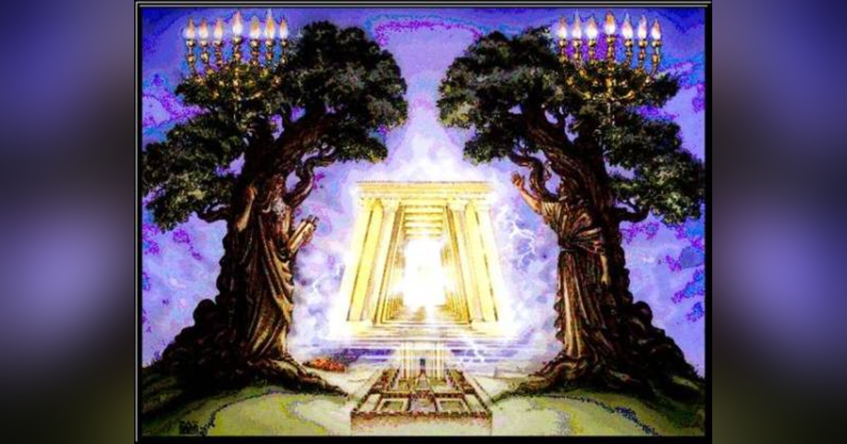 What is the Identity of the Two Witnesses of Revelation? What Worldwide Holiday Involves Celebration and Gift Giving? Reading Revelation 11 #347 What is the Identity of the Two Witnesses of Revelation? What Worldwide Holiday Involves Celebration and Gift Giving? Reading Revelation 11 #347