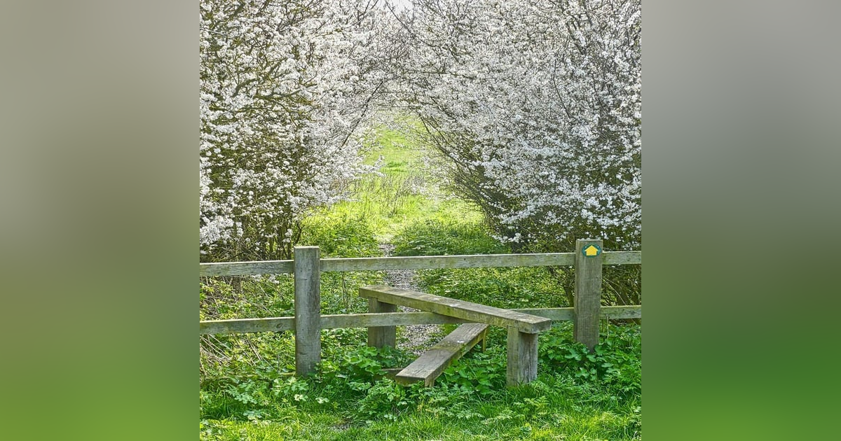 Merle's Journey: Overcoming Trauma, Navigating a 19-Year Relationship, and Setting Energetic Boundaries | 78 Merle's Journey: Overcoming Trauma, Navigating a 19-Year Relationship, and Setting Energetic Boundaries | 78