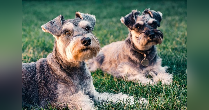 image for Balanced Growth Starts With Who You Serve