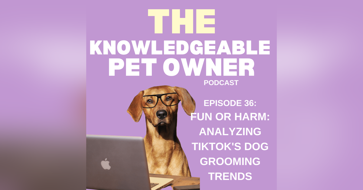 Fun or Harm: Analyzing TikTok's Dog Grooming Trends Fun or Harm: Analyzing TikTok's Dog Grooming Trends