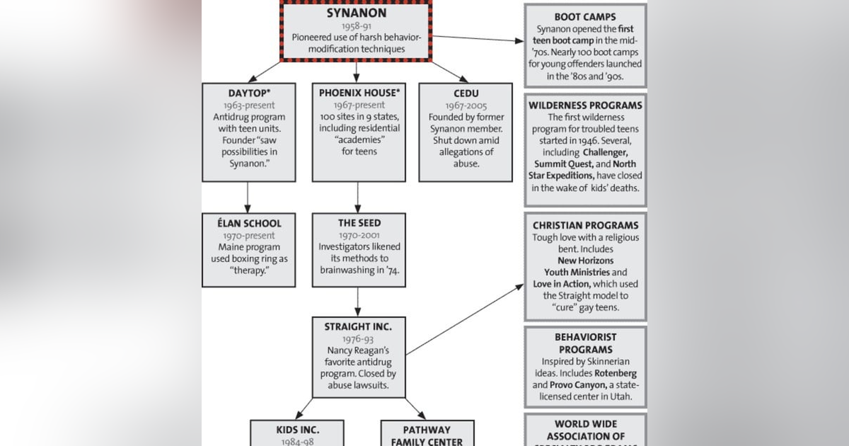 The Troubled Teen Industry: American Exploitation of the Abused The Troubled Teen Industry: American Exploitation of the Abused