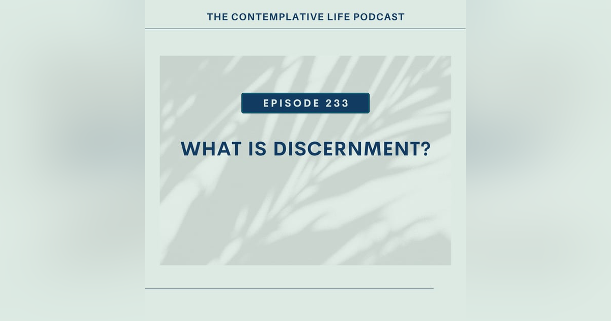 E 233 What Is Discernment? E 233 What Is Discernment?