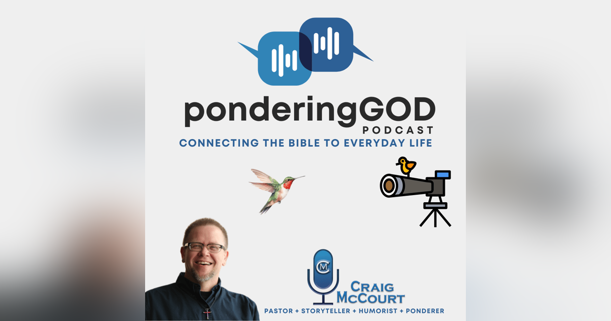 ponderingGOD - This is For The Birds ponderingGOD - This is For The Birds