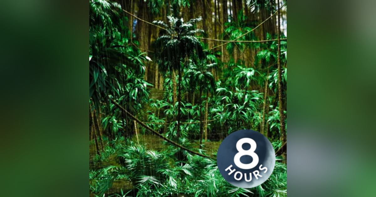 Relaxing Rain Sounds with Distant Thunder 8 Hours | for Sleep, Studying, Focus | Jungle White Noise Relaxing Rain Sounds with Distant Thunder 8 Hours | for Sleep, Studying, Focus | Jungle White Noise