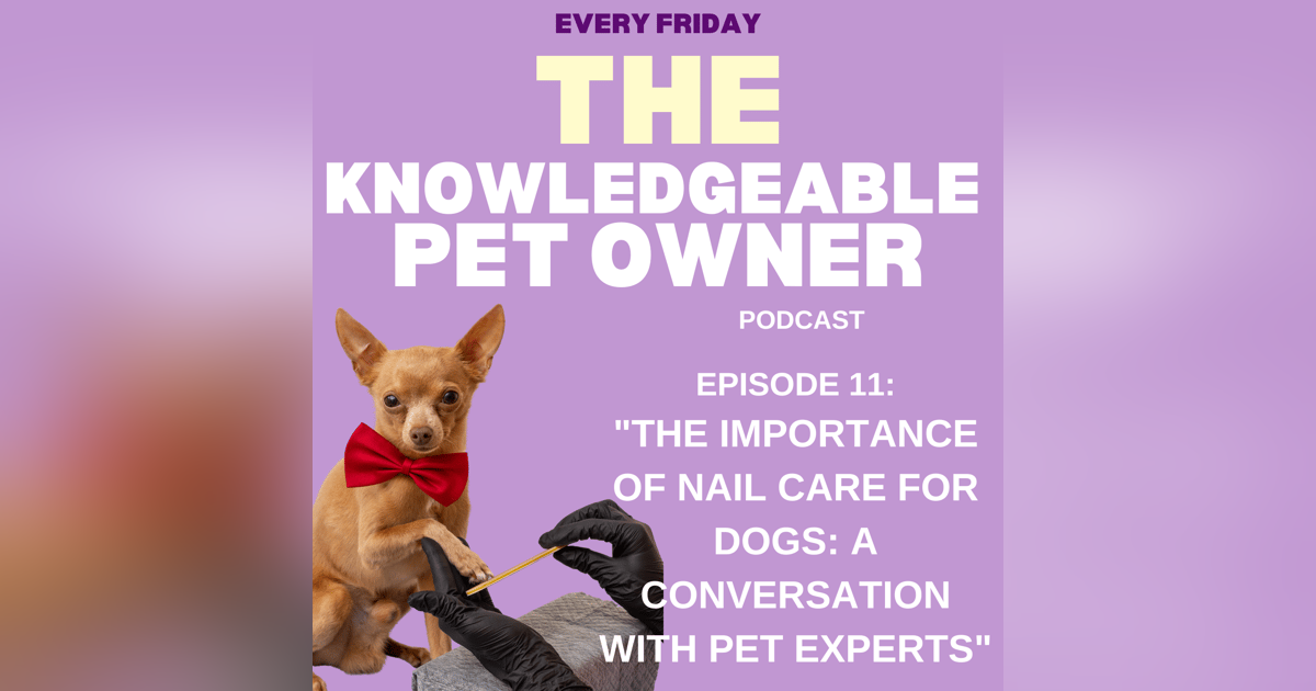 "The Importance of Nail Care for Dogs: A Conversation with Pet Experts" "The Importance of Nail Care for Dogs: A Conversation with Pet Experts"
