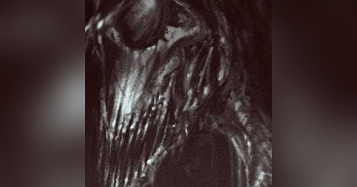 El Reptil En El Amazonas Historias De Terror - REDE El Reptil En El Amazonas Historias De Terror - REDE