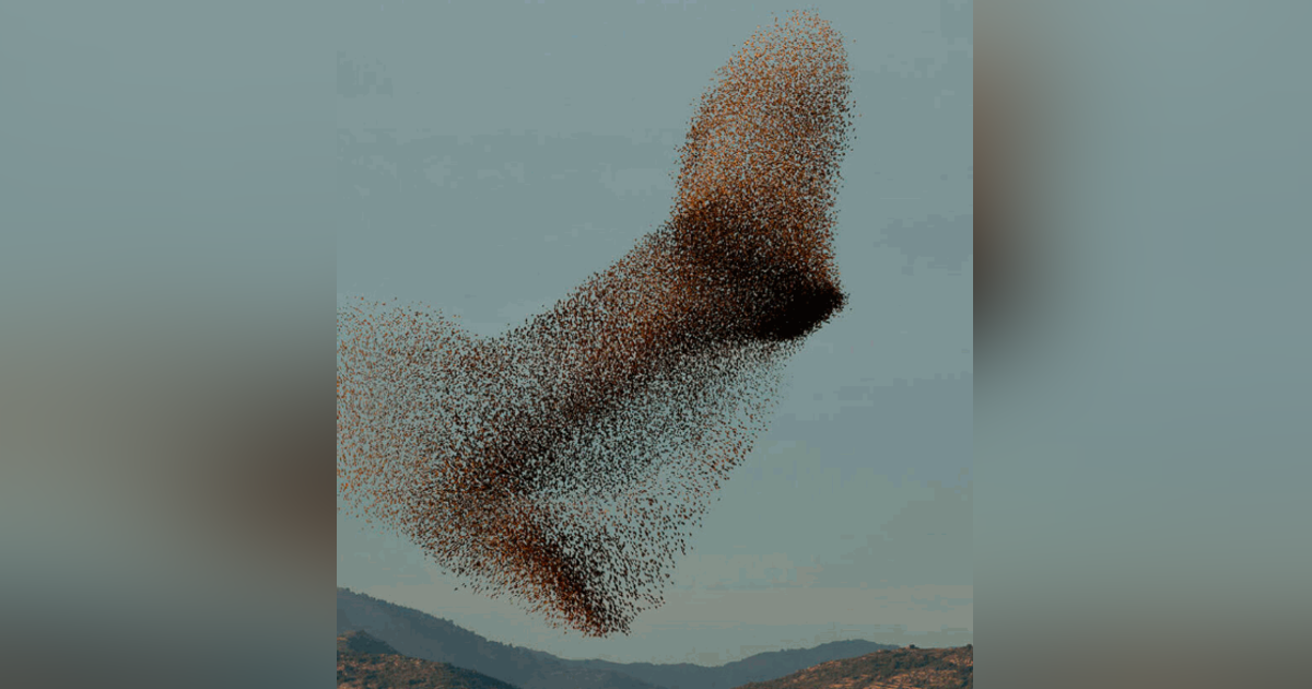 S02E13 Alignment S02E13 Alignment