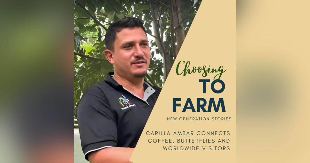 Capilla Ambar Connects Coffee, Butterflies and Worldwide Visitors Capilla Ambar Connects Coffee, Butterflies and Worldwide Visitors