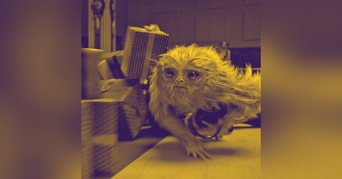 He's A Mumbler: Fantastic Beasts and Where to Find Them He's A Mumbler: Fantastic Beasts and Where to Find Them