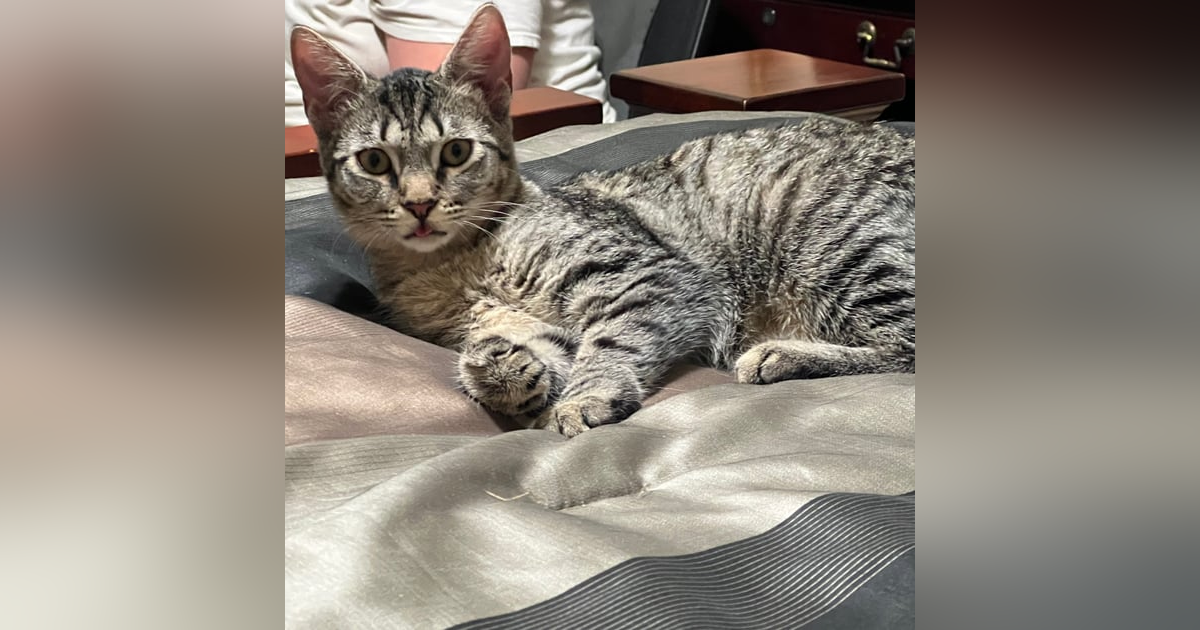 Bonnie Boo Bonnie Boo