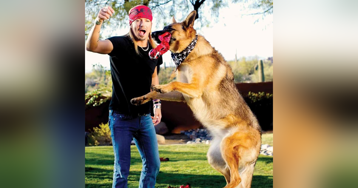 1296. 10 Pets That Inspired Great Songs - Dog Shoots Owner 1296. 10 Pets That Inspired Great Songs - Dog Shoots Owner