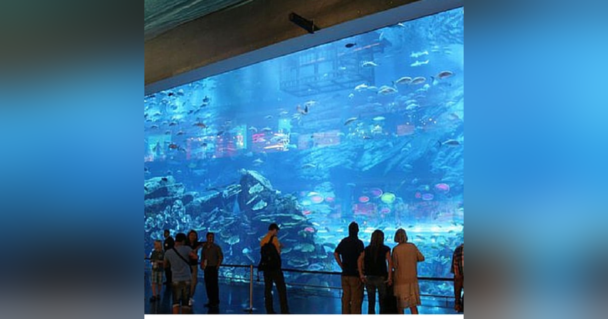 2: Travel First Ep.1 - Dubai 2: Travel First Ep.1 - Dubai