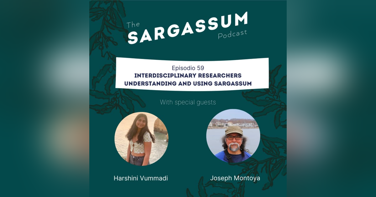 E59 Interdisciplinary researchers exploring and using Sargassum E59 Interdisciplinary researchers exploring and using Sargassum