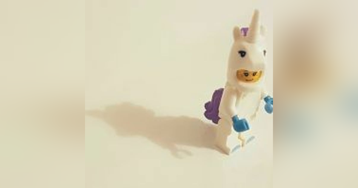 예비유니콘 스타트업…지금 뭐하나 예비유니콘 스타트업…지금 뭐하나