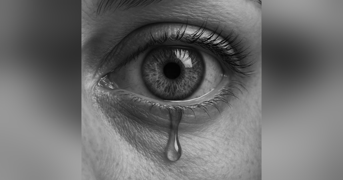 The Uncertainties Of Life The Uncertainties Of Life
