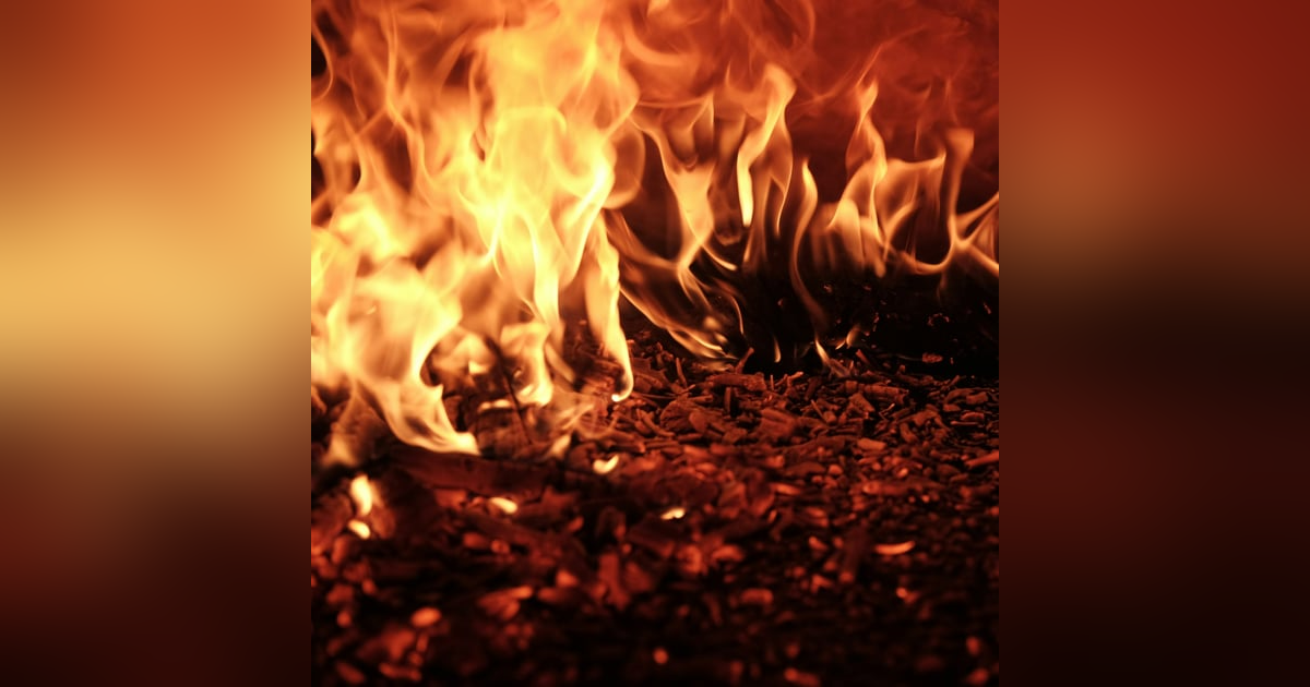 Fire in Built Environments (Special Episode: LA Fires) with Alexandra Syphard Fire in Built Environments (Special Episode: LA Fires) with Alexandra Syphard
