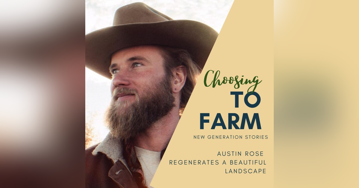 Austin Rose Regenerates a Beautiful Landscape Austin Rose Regenerates a Beautiful Landscape