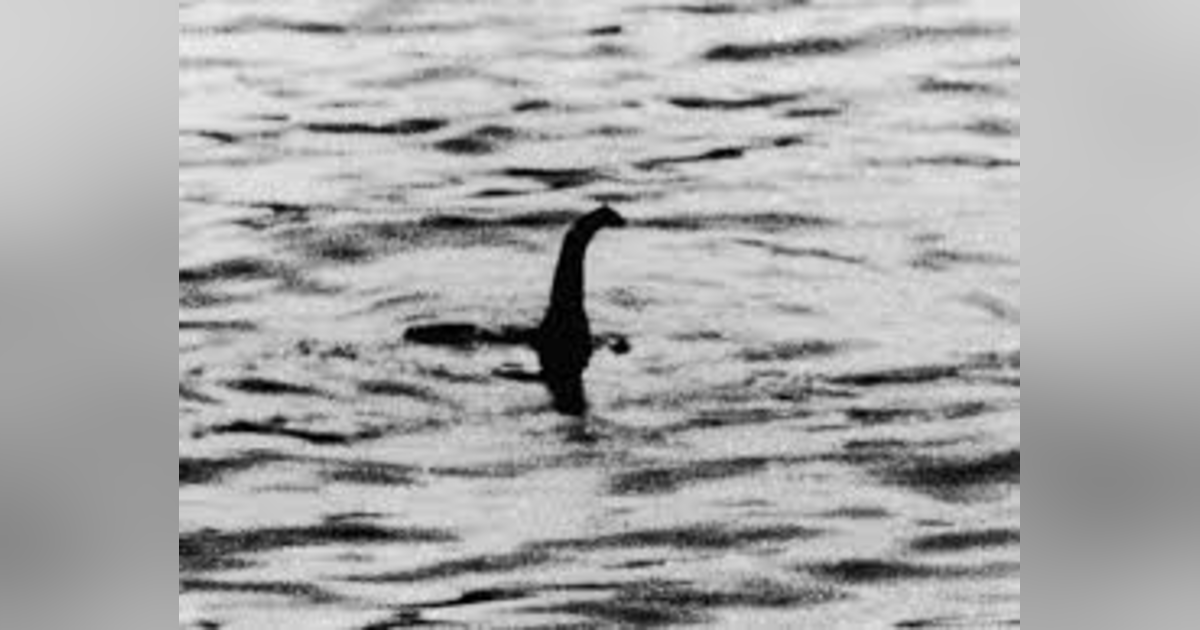 IN SEARCH OF THE LOCH NESS MONSTER IN SEARCH OF THE LOCH NESS MONSTER