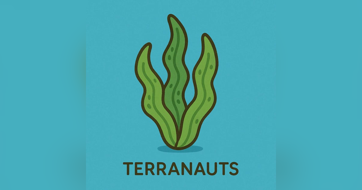 ¡Algas marinas! ¡Algas marinas!