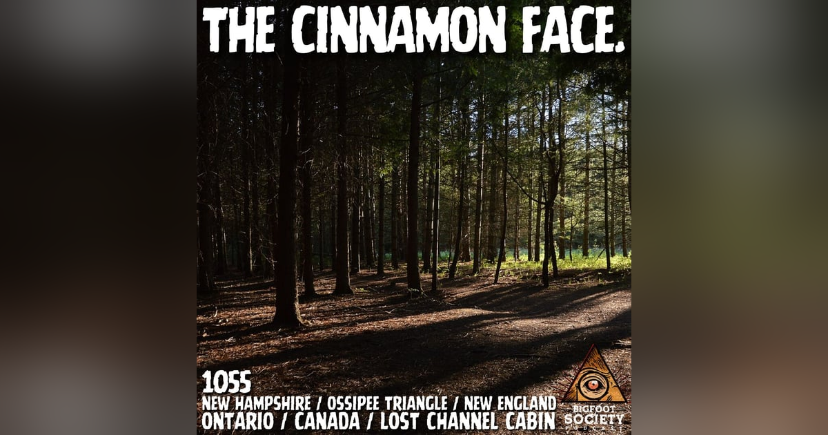 New Hampshire Hunter Finds 17-Inch Tracks | Ontario Witness Reports Cabin Encounter New Hampshire Hunter Finds 17-Inch Tracks | Ontario Witness Reports Cabin Encounter