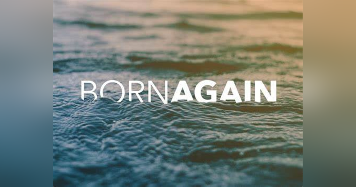 What Does it Mean to Be Born Again? How Can I Be Born Again? Reading John 3 #290 What Does it Mean to Be Born Again? How Can I Be Born Again? Reading John 3 #290